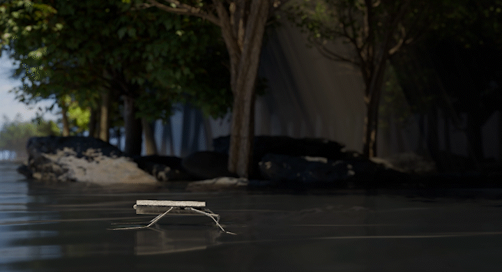 Strider_Show_1i85_v1